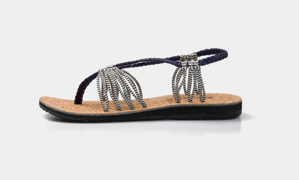 SEASTAR - Zebra - BOKYNA US
