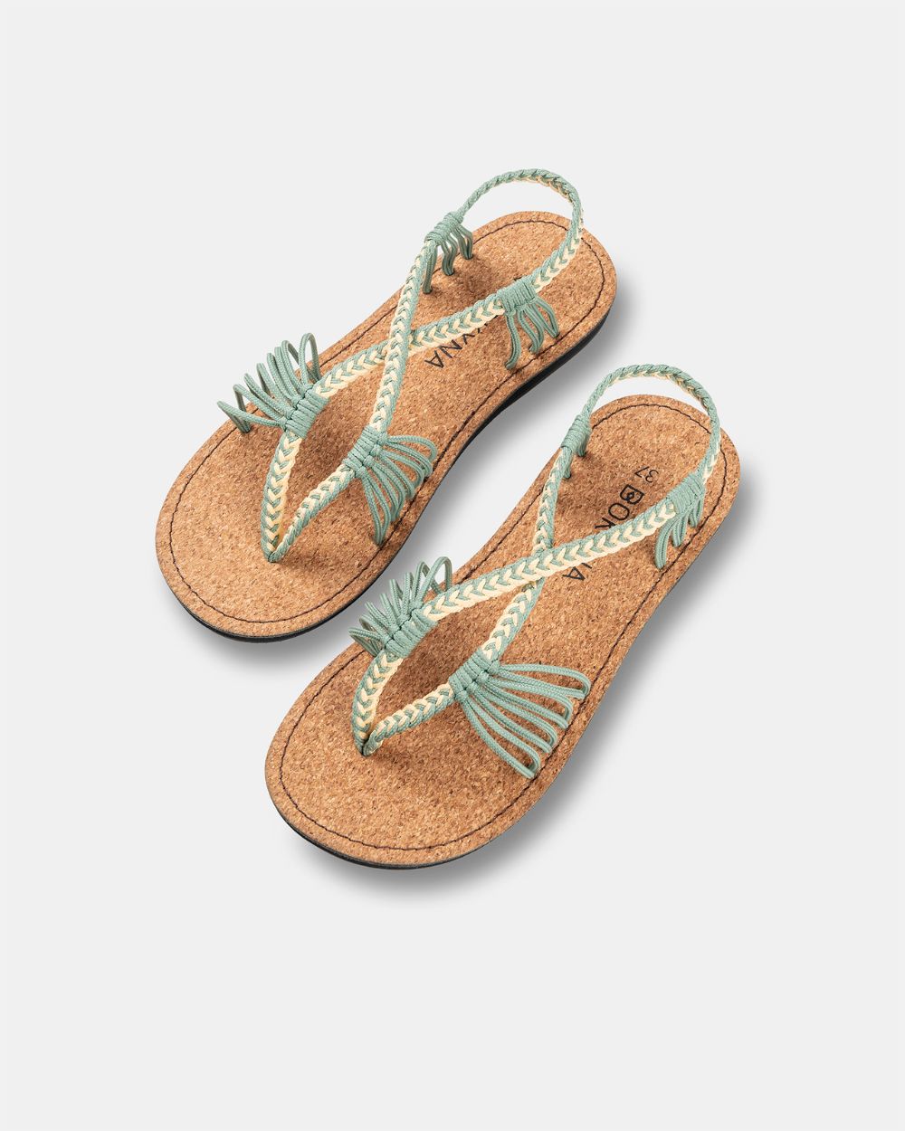 SEASTAR ANCHAS – Pistacho